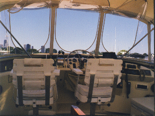 LazyLizardFlybridge1.gif (52805 bytes)